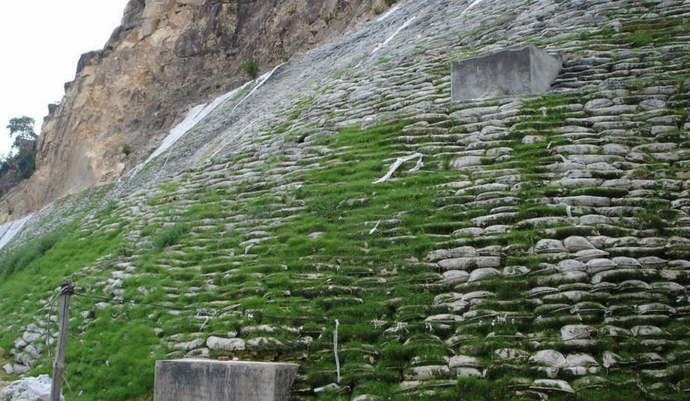 生態(tài)護坡工程案例