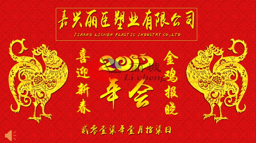 麗臣塑業(yè)2017年年會(huì )圓滿(mǎn)成功