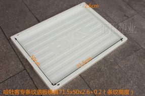 ABS哈牡客專(zhuān)蓋板塑料模具